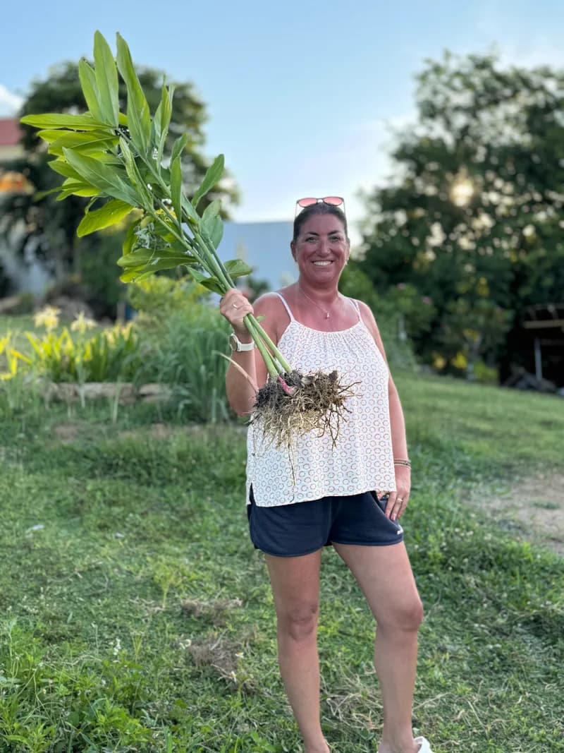 Jungle Kitchen's open-air cooking school and organic garden near Fisherman's Village, Koh Samui